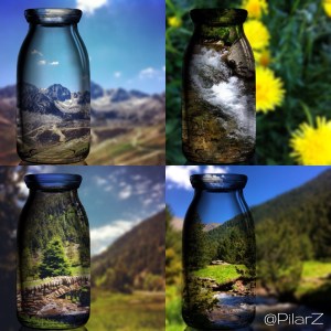 El país dels Pirineus. Vine i tasta'l